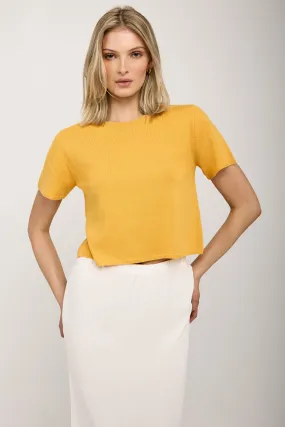 Charleston Short Sleeve Cashmere Top in Marzipan