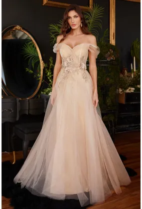 Delicate | Off the Shoulder Tulle A Line Dress | LaDivine CD3395