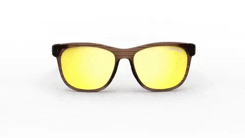 Tifosi Optics Swank Sunglasses